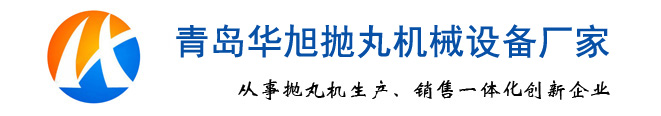 凸輪轉(zhuǎn)子泵