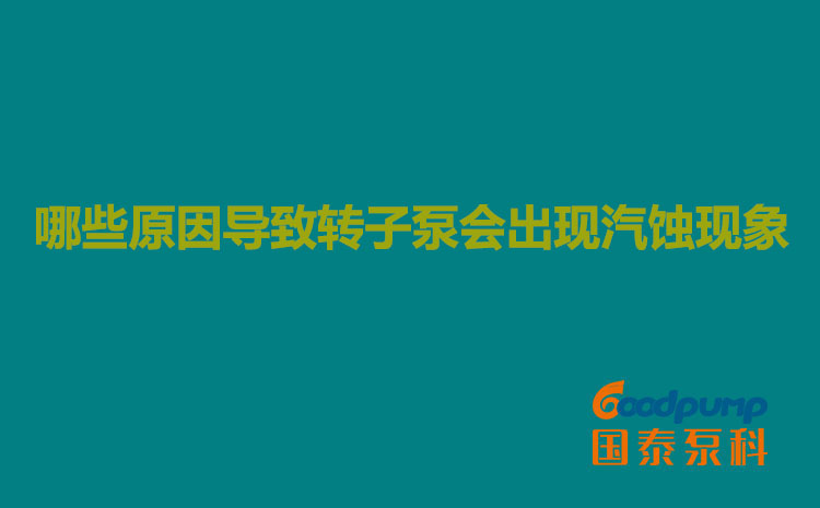 哪些原因導致轉子泵會出現(xiàn)汽蝕現(xiàn)象